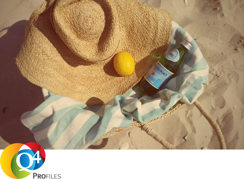 Q4 profiles DISC Clue_recharge summer