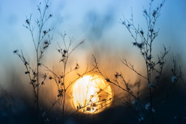 Clue 873 | Blue Monday